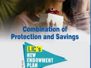 LIC New Endowment 714